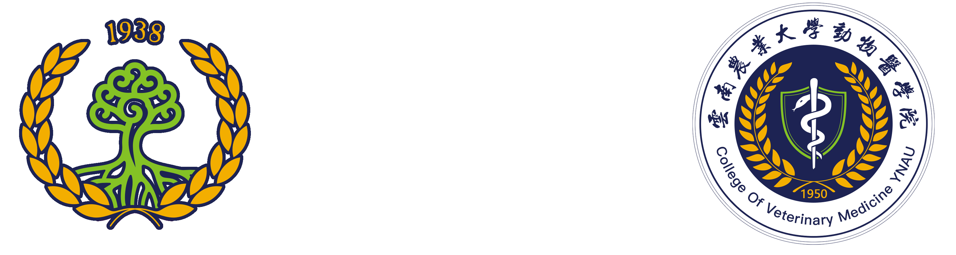 yl23455永利yl23455永利